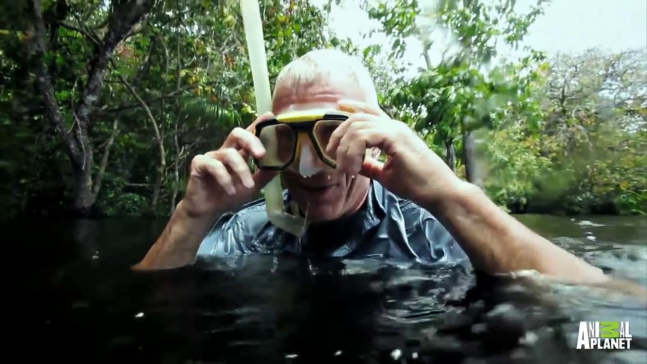Jeremy Wade Swarmed by Amazon River Dolphins | River Monsters