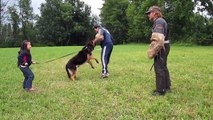 5 YEAR OLD YEAR OLD GETTING PROTECTED BY HER GERMAN SHEPHERD FROM 2 BAD GUYS .