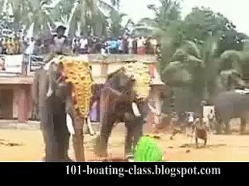 Dangerous Elephant Attacks and Kills an Unlucky Guy