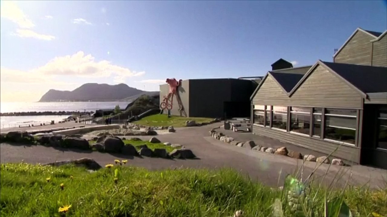 Trois bébés manchots dérobés dans un aquarium de Norvège