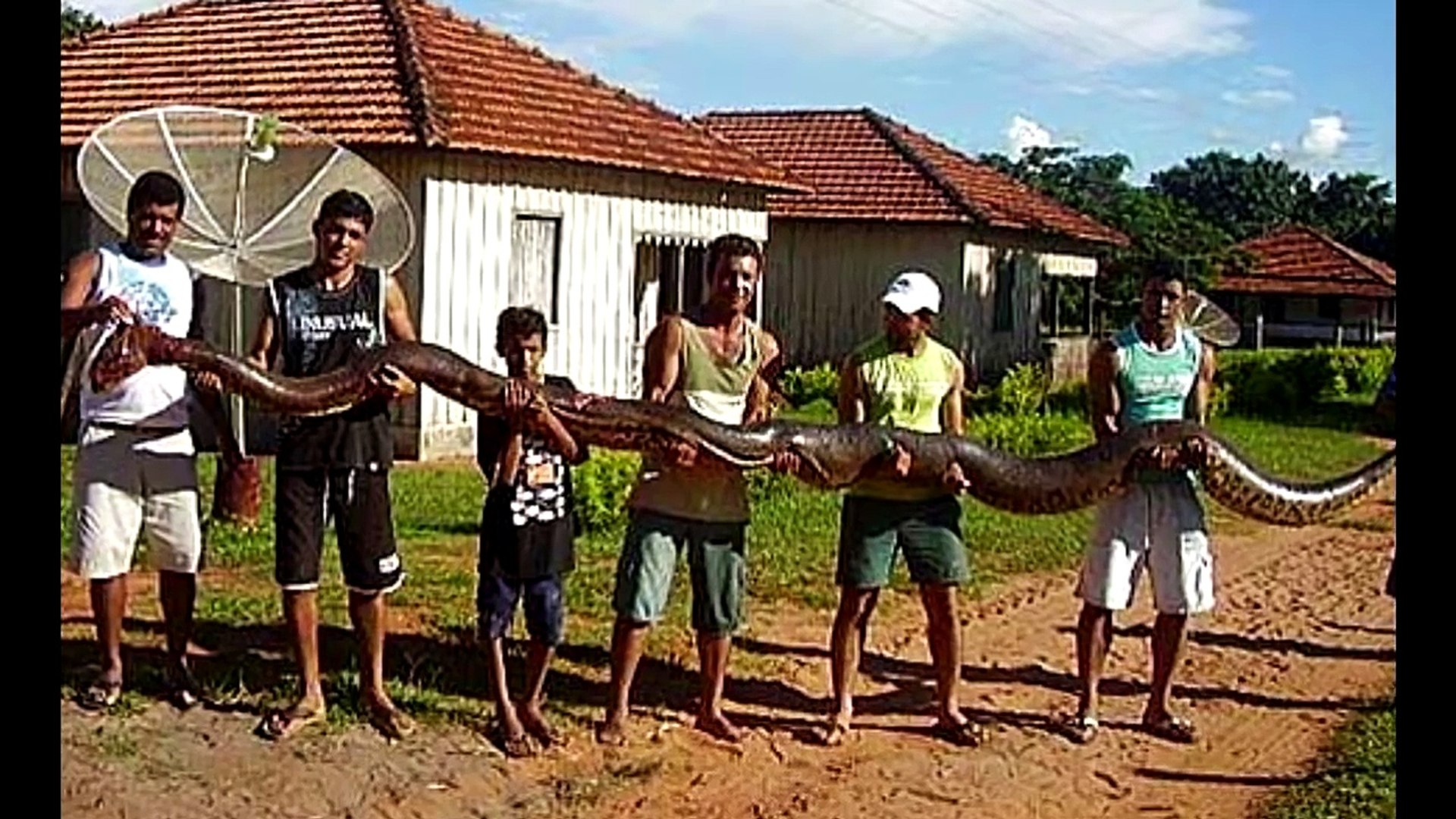 ⁣BIGGEST SNAKE EVER ! GIANT SNAKE FOUND - ANACONDA