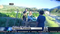 Mobile Weather Lab-Roberta Gonzales visits Happy Acre Farms