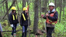 Sustainable Forest Management in Ontario