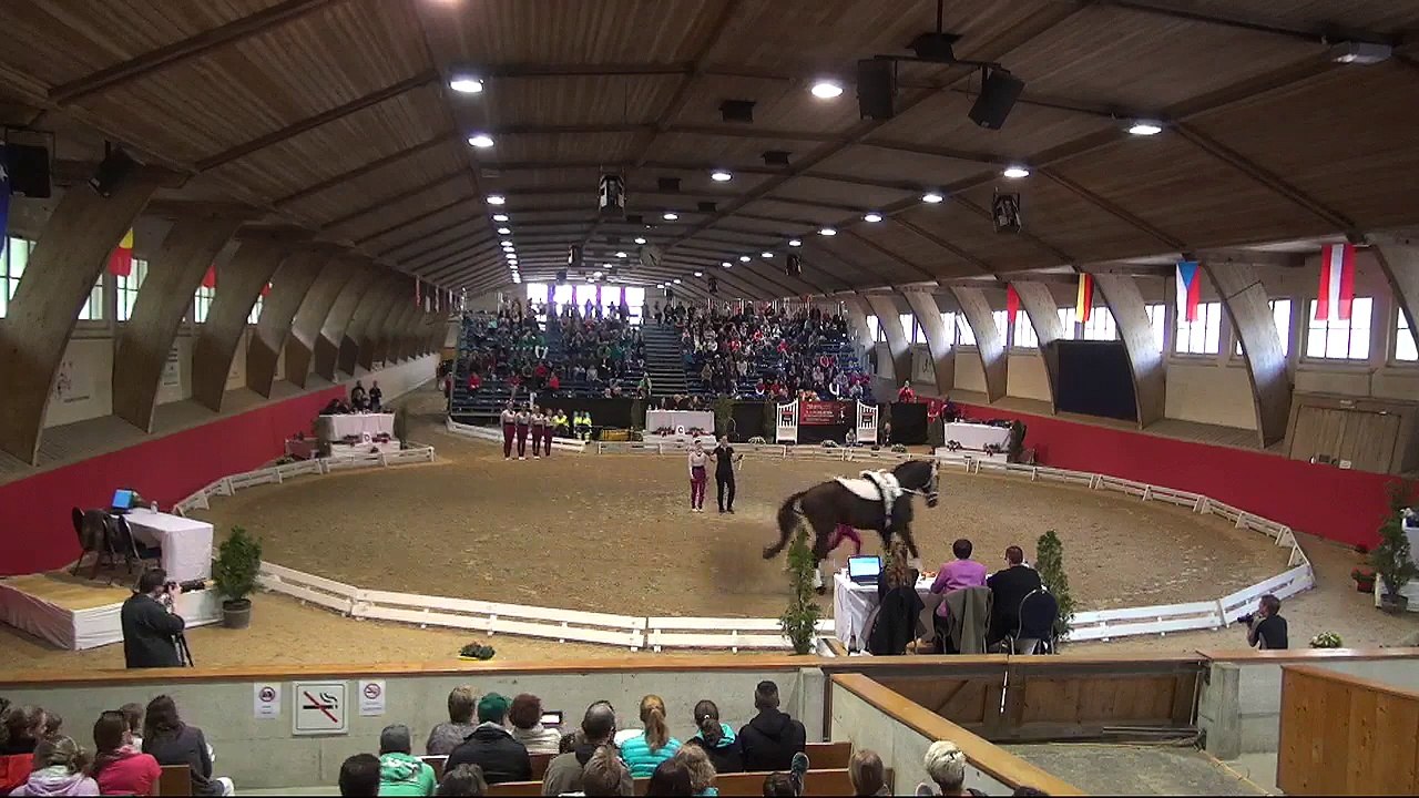 CVI Bern 2015 (REPLAY) - Saturday 13:15 - 21:00 - CVI3* Technical Test  - Squad  & Pas de Deux CVI2* Freestyle2  - Ceremony CVI1*CVI2*