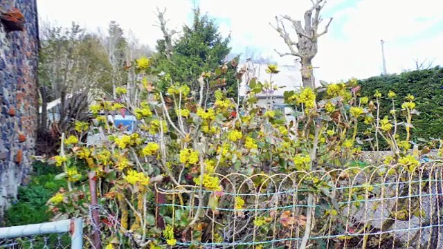 AU CŒUR DU PARC NATUREL DES VOLCANS D’AUVERGNE, UNE FERMETTE A RENOVER.