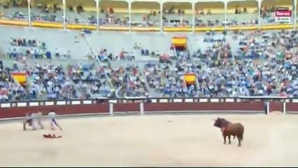 BOĞANIN ACI İNTİKAMI