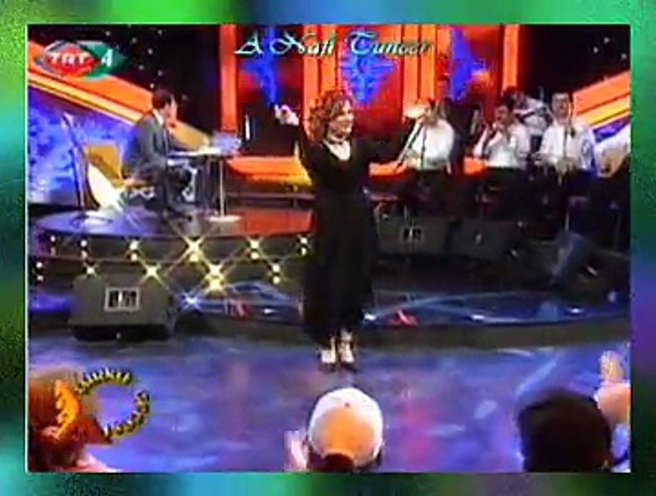 Yıldız ÇAM ÖZDEMİR *Kesik Çayır Biçilir Mi?*
