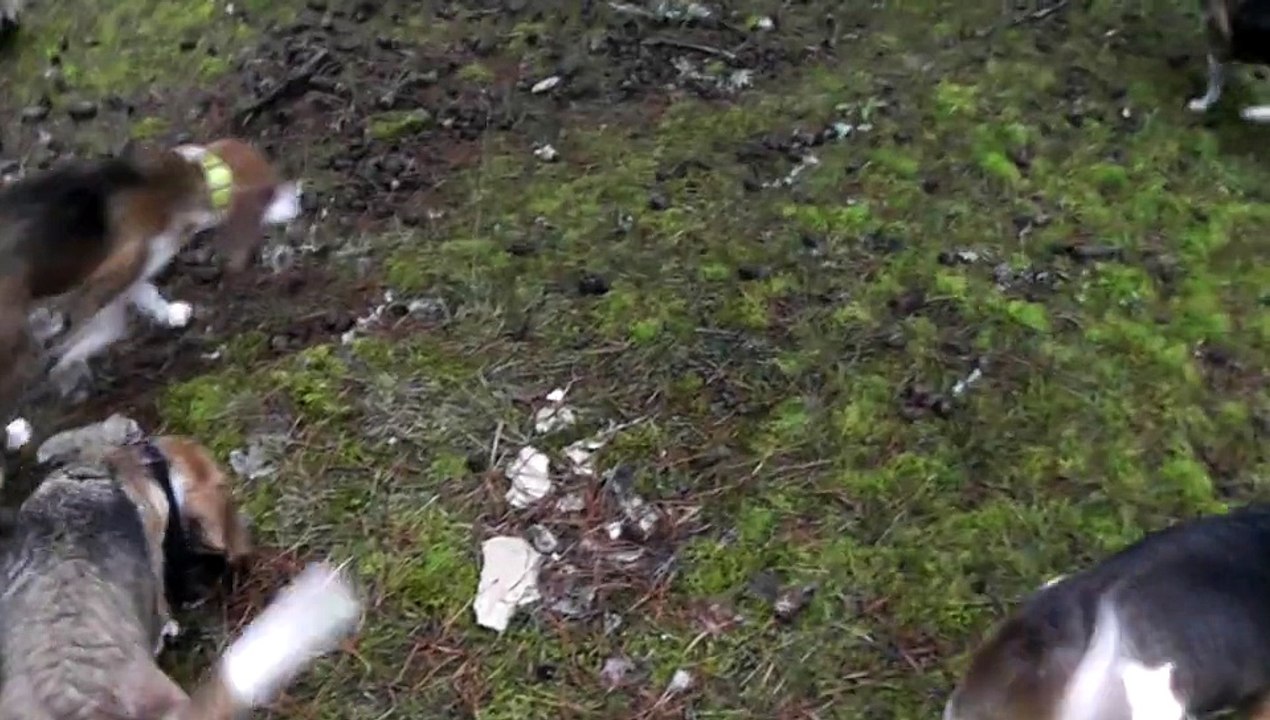 Une partie du Rapproché du 16 Novembre 2014