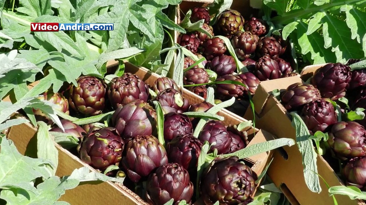 Sabino Fortunato al mercato ortofrutticolo di Andria: "va spostato e rinnovato"