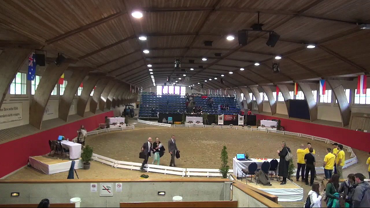 CVI Bern 2015  (REPLAY)- René Maire on New Holland (SUI) - Compulsory