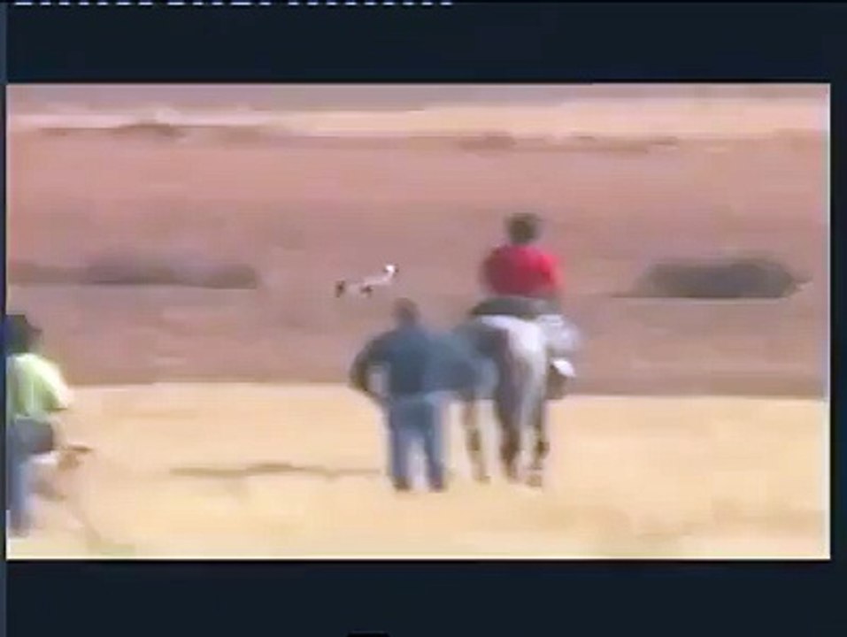 Race