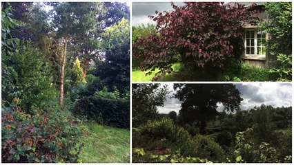 RAVAT PASCAL  NATURAMA