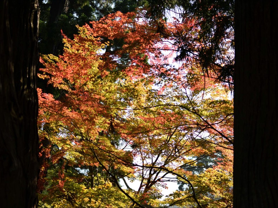 旅日記