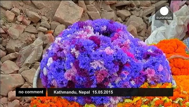 Nepal: earthquake recovery process