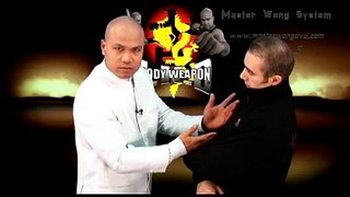 JKD Training - Master Wong JKD EPS 8