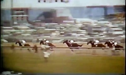 Secretariat - Preakness Stakes 1973