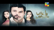 Dil Ka Kya Rung Karun Episode 13 Promo HUM TV Drama May 16, 2015-