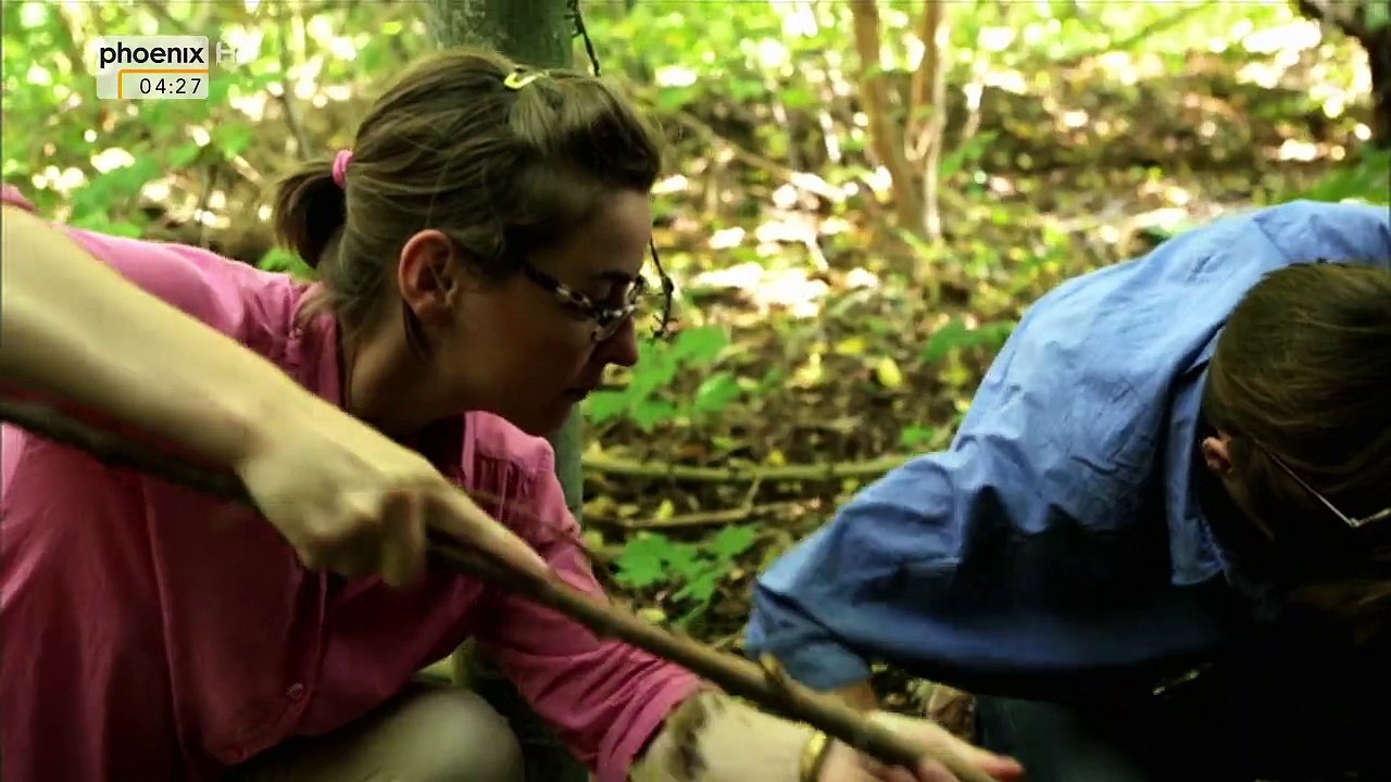 Die verschwundene Mauer - Eine Spurensuche in Berlin [Doku]