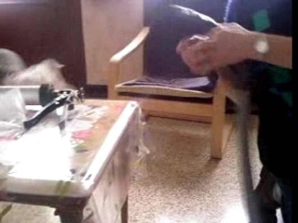 Video-0004