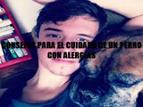 Como Cuidar a mi Perro