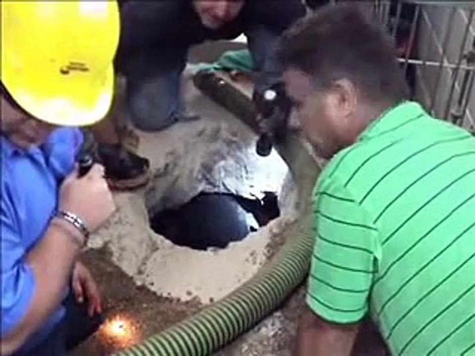 Roto-Rooter Expert Plumbers Save Cute Puppy
