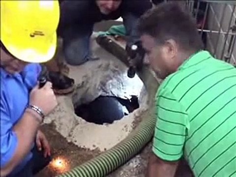 Roto-Rooter Expert Plumbers Save Cute Puppy