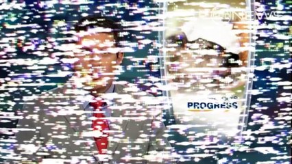 Australia Zoo Wildlife Hospital - Koala Patients