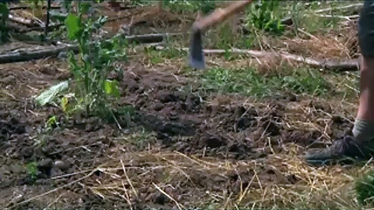 Reportage-alisa_weckfort-campus-tv