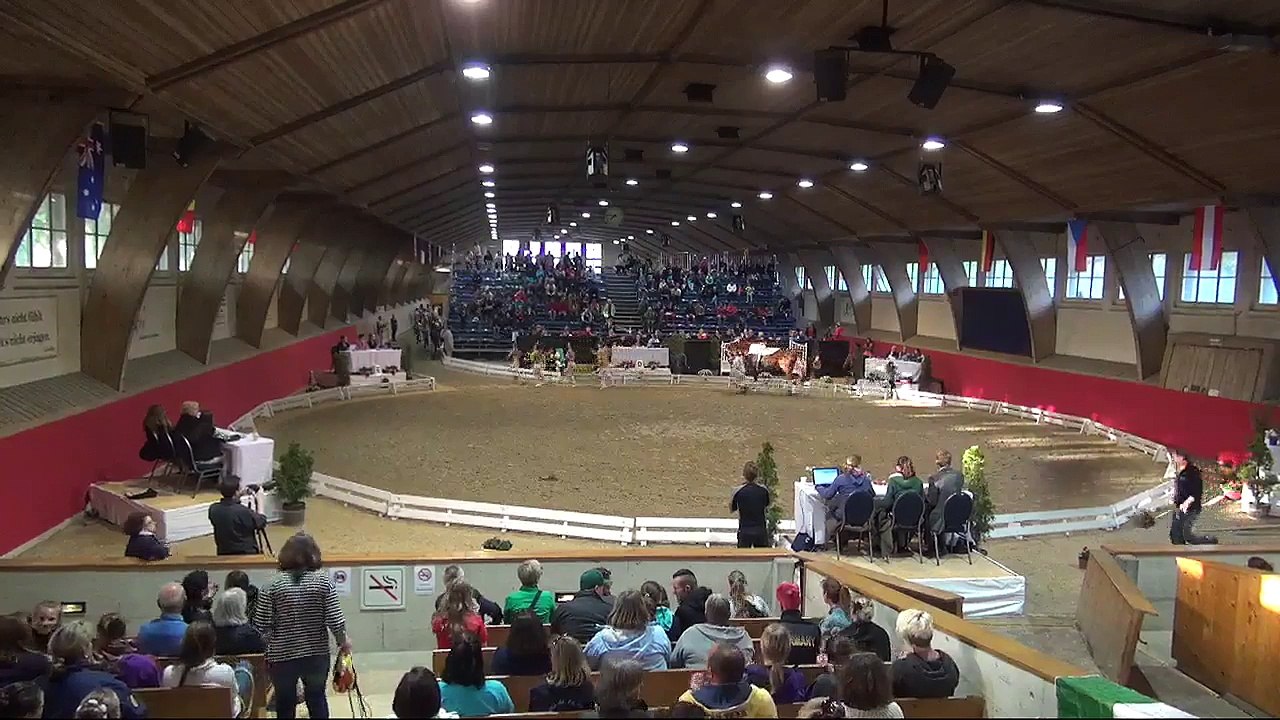 CVI Bern 2015 - Squad CVI3* - Team1 Ecuries de la Cigogne  (FRA) - Freestyle1