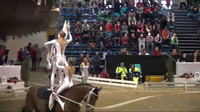 CVI Bern 2015 (REPLAY) - Squad CVI3* - Biel-Ipsach (SUI) - Freestyle1