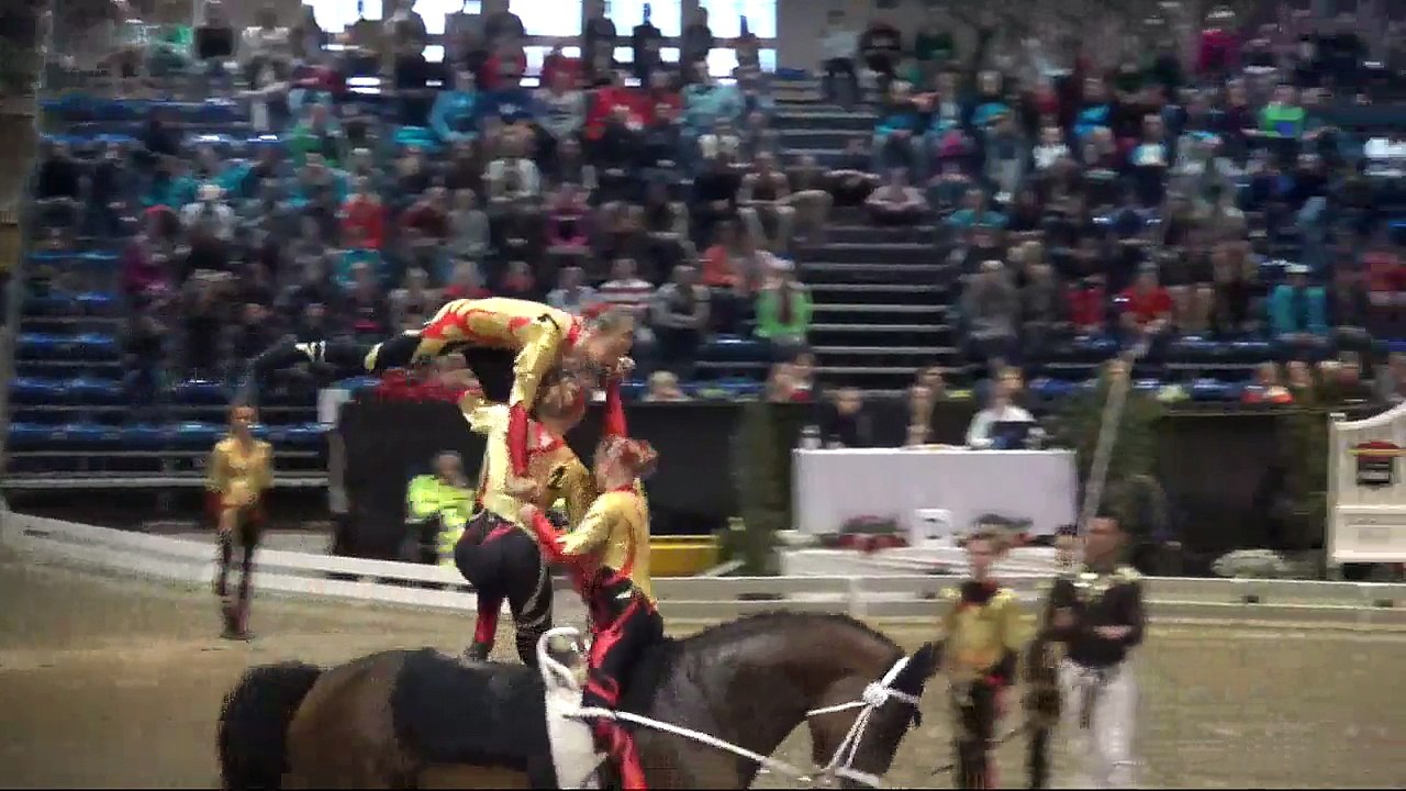 CVI Bern 2015  (REPLAY) - Squad CVI3* - Team1 Ecuries de la Cigogne  (FRA) - Freestyle1