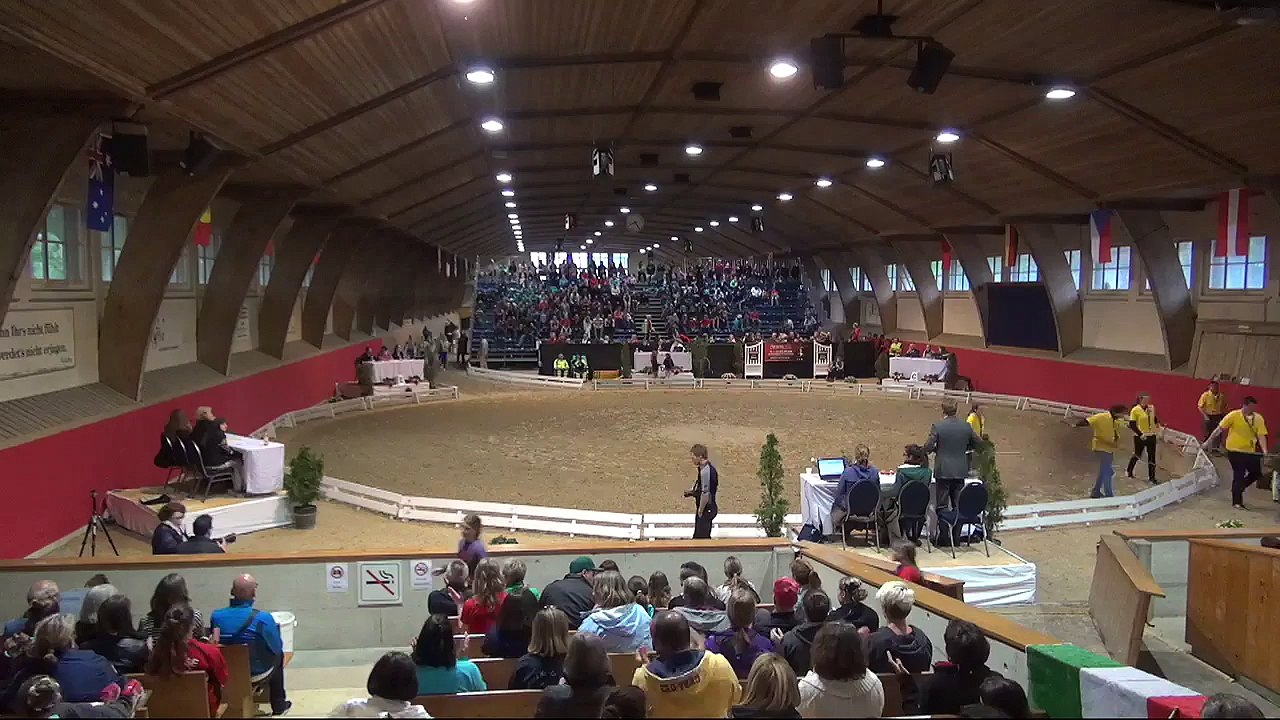 CVI Bern 2015 (REPLAY)- Squad CVI3* - Team Harlekin (SUI) - Freestyle1