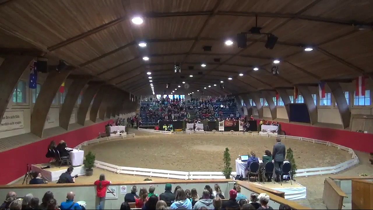 CVI Bern 2015 (REPLAY) - Squad CVI3* - Team Lütisburg (SUI) - Freestyle1