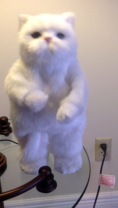 Dancing Kitty Oliver dances to Deal with the Devil - Pop Evil