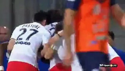 Blaise Matuidi Goal - Montpellier 0 vs 1 PSG 16.05.2015