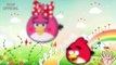 ANGRY BIRDS Cartoon Finger Family Nursery Rhymes for Kids Children Songs 2D Animated