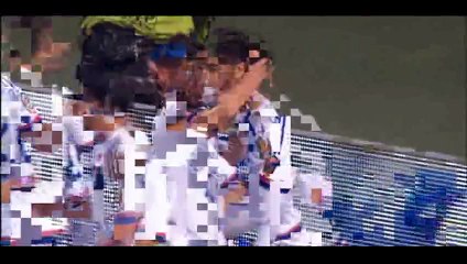 Goal Fekir - Lyon 1-1 Bordeaux - 16-05-2015