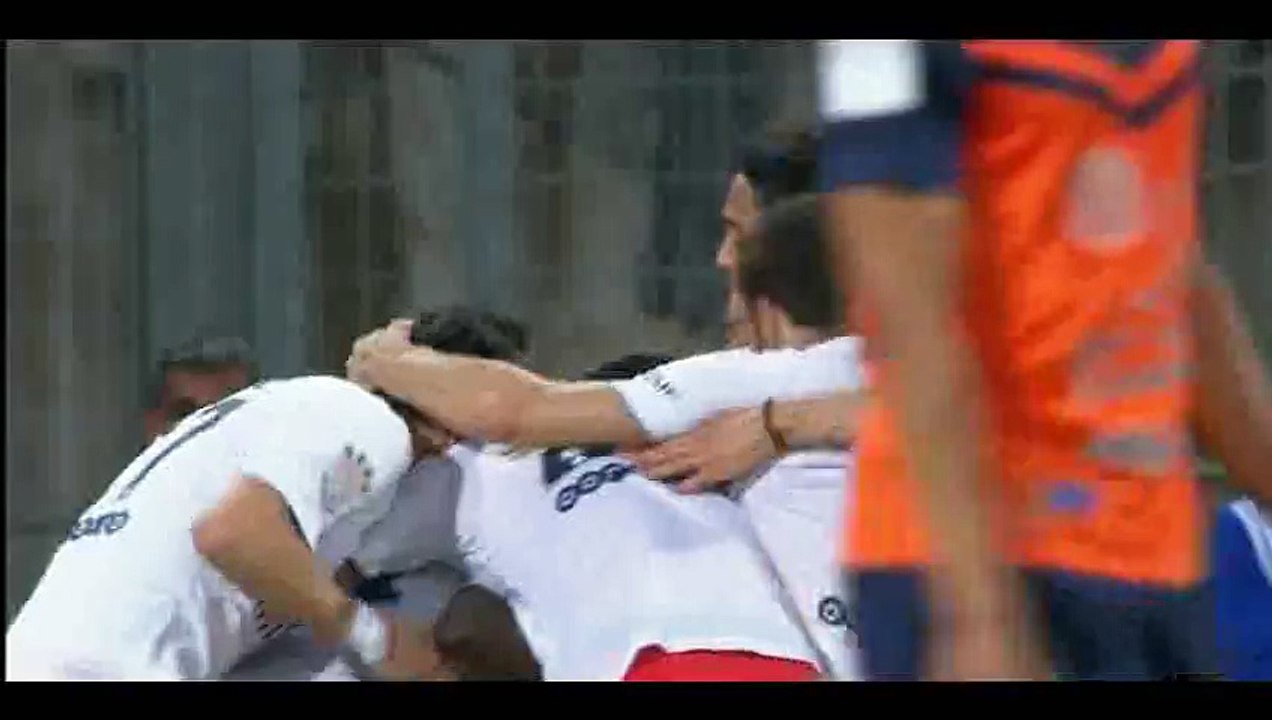 Montpellier 0-1 PSG - Goal  Matuidi - 16-05-2015