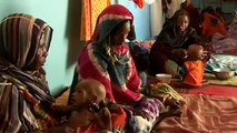 UNICEF: Food shortages in Chad lead to malnutrition in children