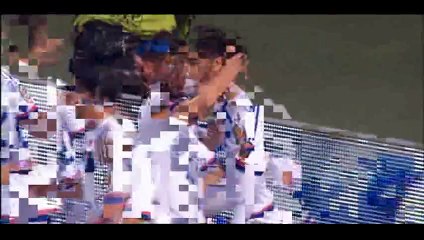 Goal Fekir - Lyon 1-1 Bordeaux - 16-05-2015
