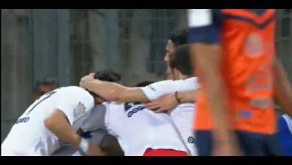 Goal  Matuidi - Montpellier 0-1 PSG - 16-05-2015