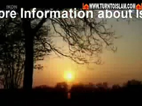 Nederlanders Worden Moslims new moslim