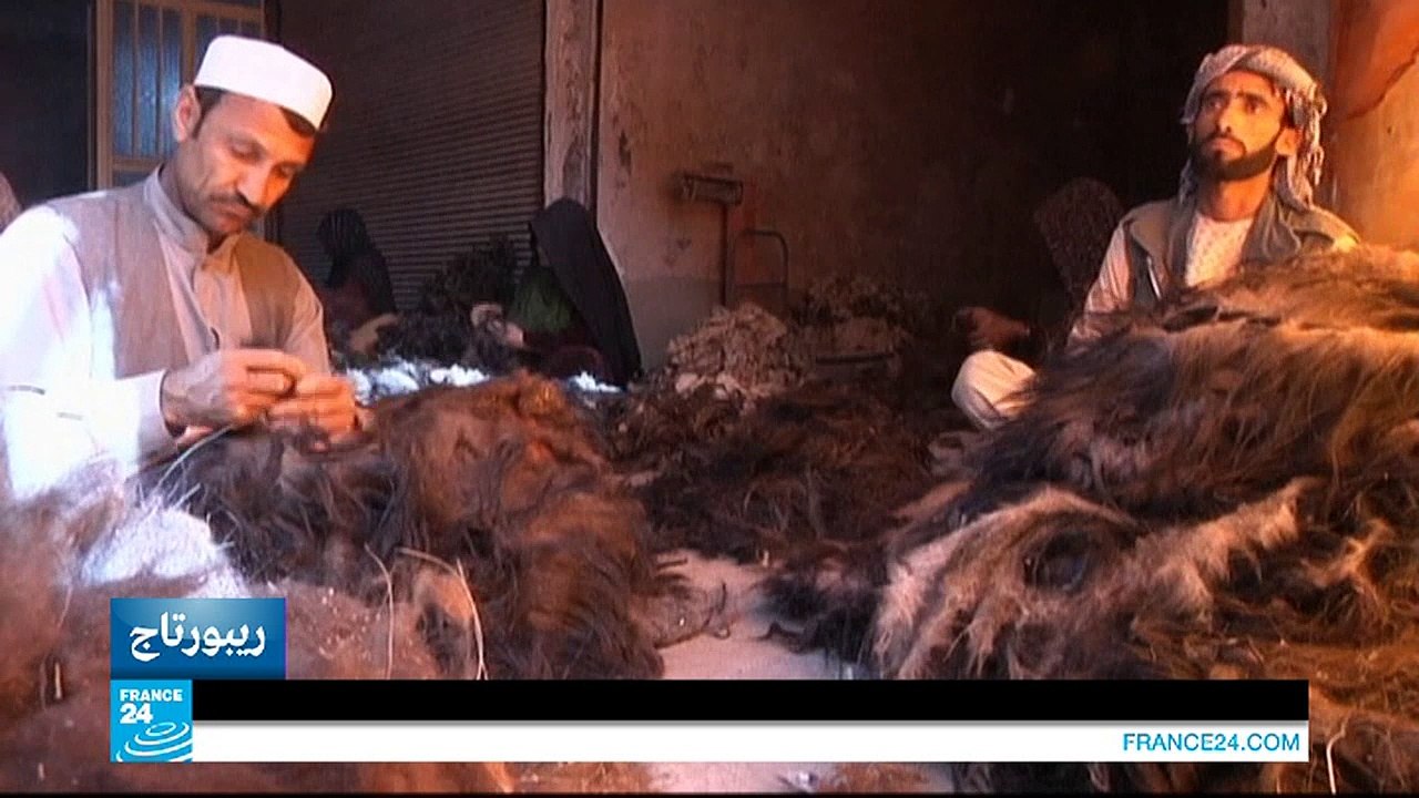 جهود دولية لإنعاش صناعة وتجارة الكشمير الأفغاني