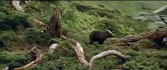 المقطع الذي اجتذب أكثر من 40 مليون مشاهدة