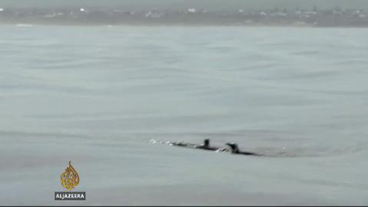 Nursing S Africa's penguins to health again