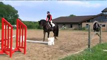 Ingrid Klimke, Basic Training for Riding Horses, Vol. 1: the four year old horse, pferdia tv