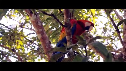 Amazonas Colombia: El viaje de tu vida