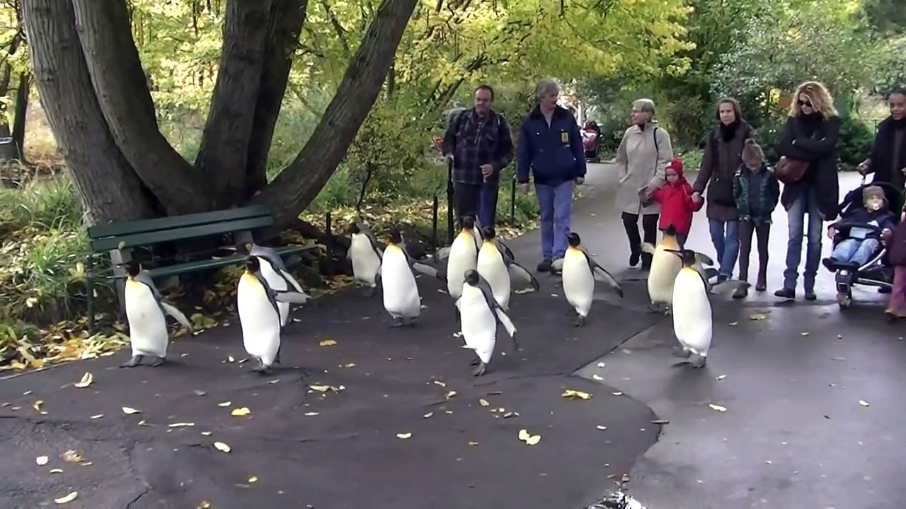 Zoo Basel