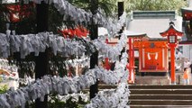 Shinto Shrine in Japan 4K (Ultra HD) - 霧島神宮／鹿児島