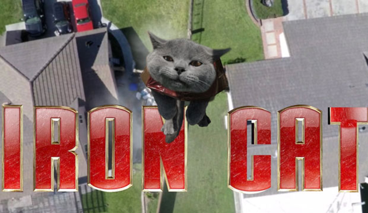 Iron Cat, le chat volant